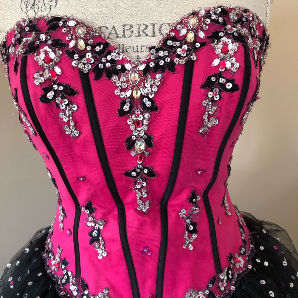 Ball Gown, Sequenced Satin Tulle, Pink & Black (size 9) - Picture 3 of 14
